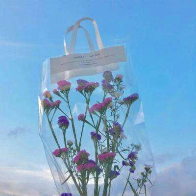 亚星娱乐网下载手机版截图